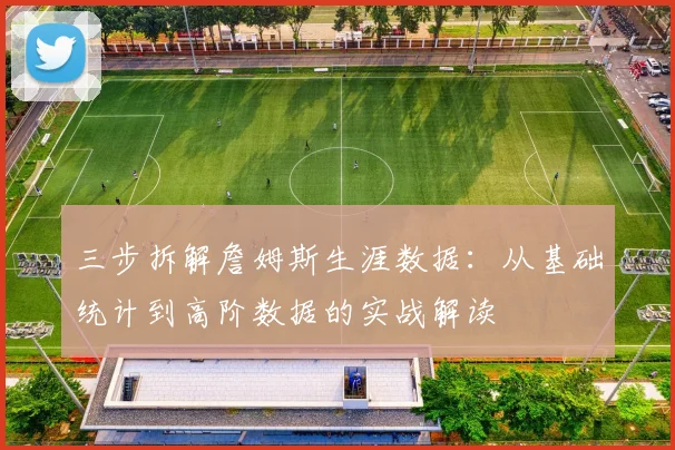 三步拆解詹姆斯生涯数据：从基础统计到高阶数据的实战解读