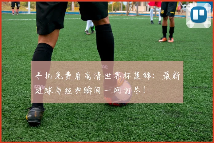 手机免费看高清世界杯集锦：最新进球与经典瞬间一网打尽！